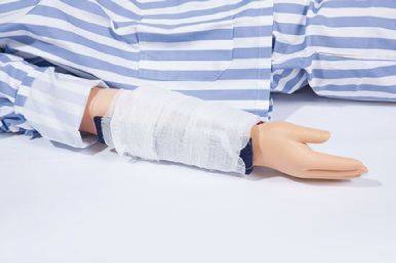 The Anatomy Lab-A-109088 Closed Fracture Fixation and Spinal Cord Injury Handling Model, 1/ea