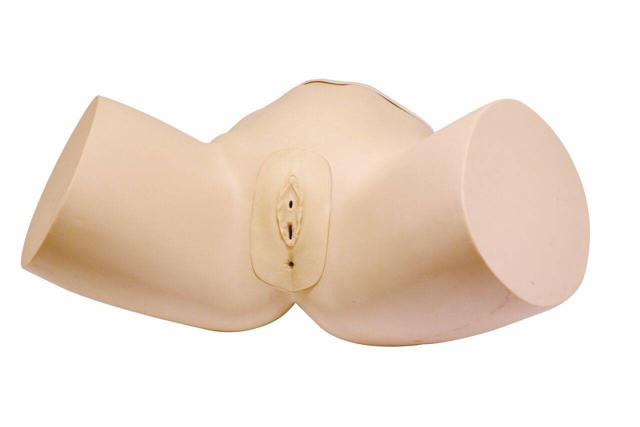 Anatomy Lab-A-104415 Female Catheterization Model, 1/EA