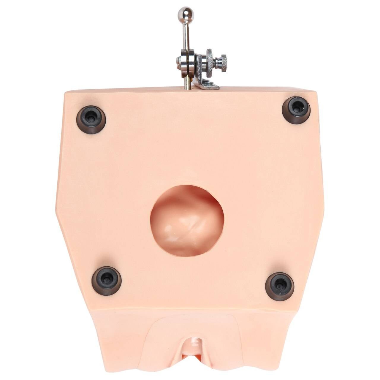 The Anatomy Lab-A-108505 Female Contraception Model, 1/ea