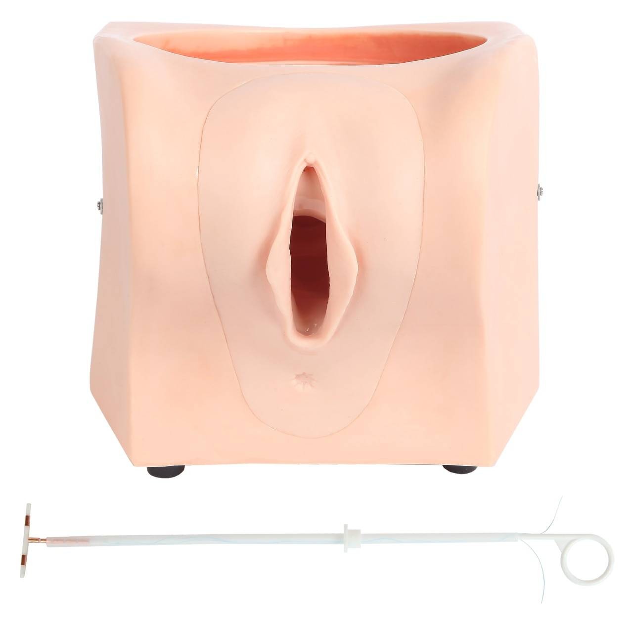 The Anatomy Lab-A-108505 Female Contraception Model, 1/ea