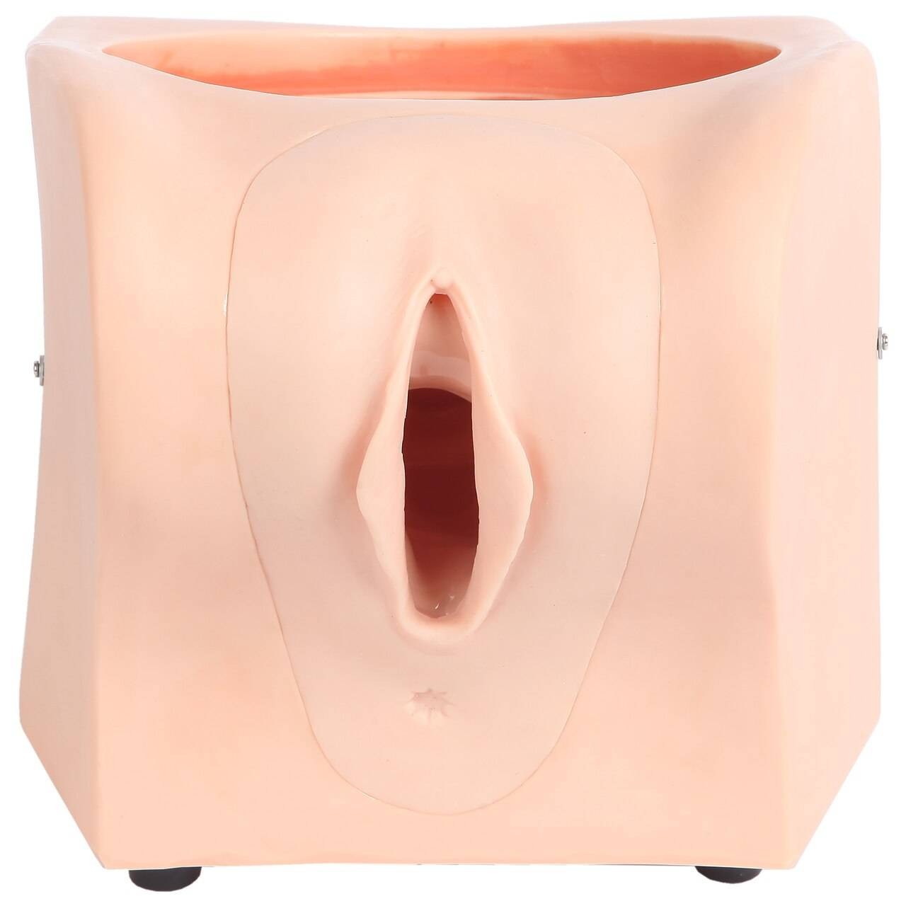 The Anatomy Lab-A-108505 Female Contraception Model, 1/ea