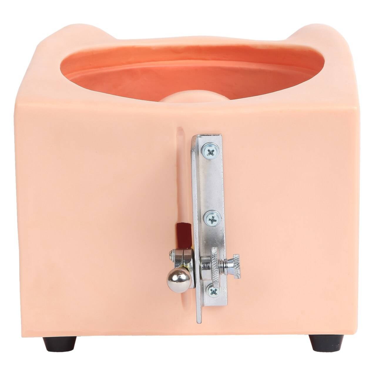 The Anatomy Lab-A-108505 Female Contraception Model, 1/ea