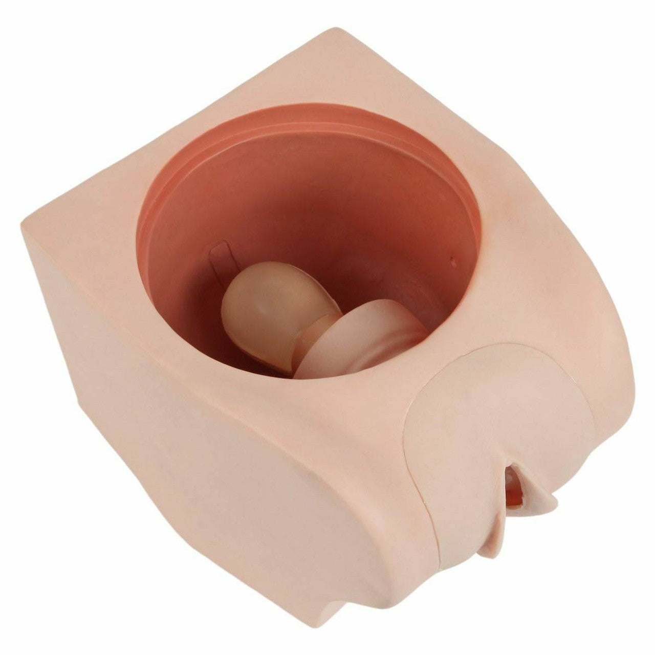 The Anatomy Lab-A-106731 Female Contraception Trainer, 1/ea