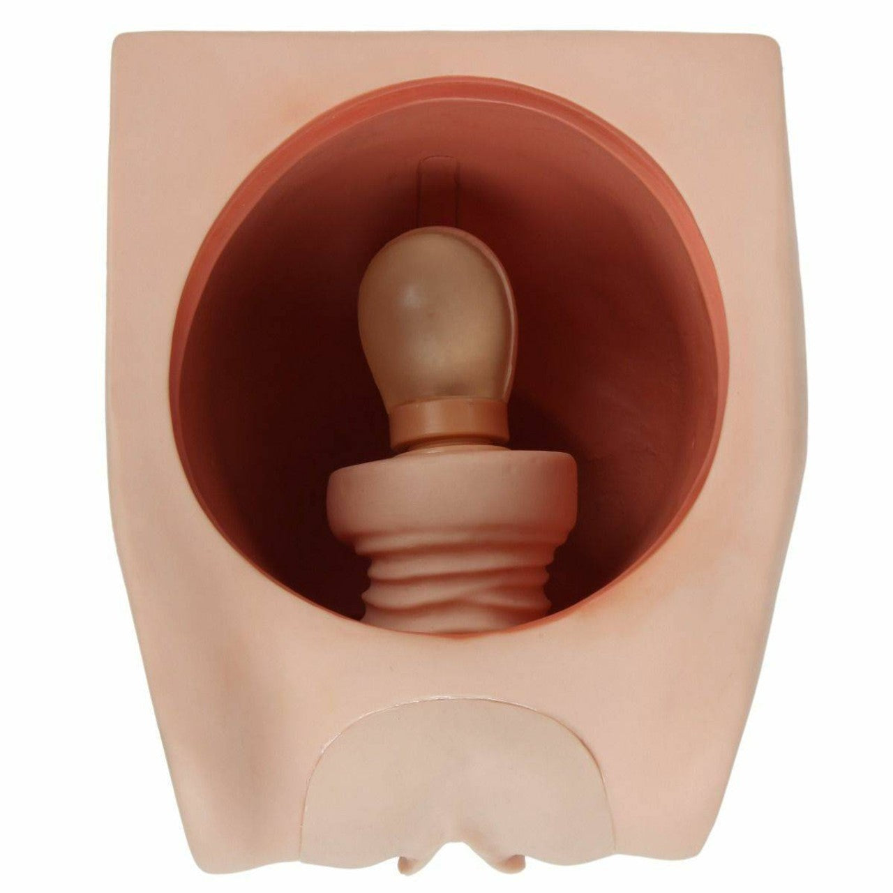 The Anatomy Lab-A-106731 Female Contraception Trainer, 1/ea