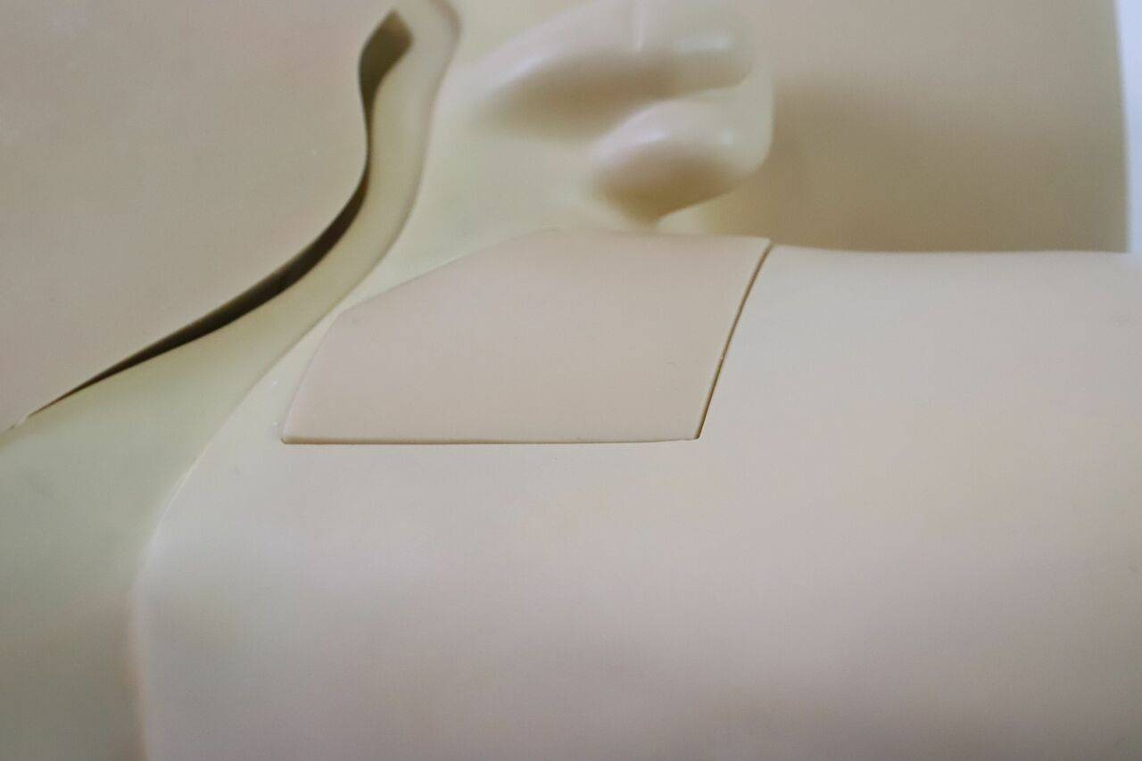 The Anatomy Lab-A-108515 Femoral Arteriovenous Puncture and Abdominocentesis Ultrasound Training Model, 1/ea