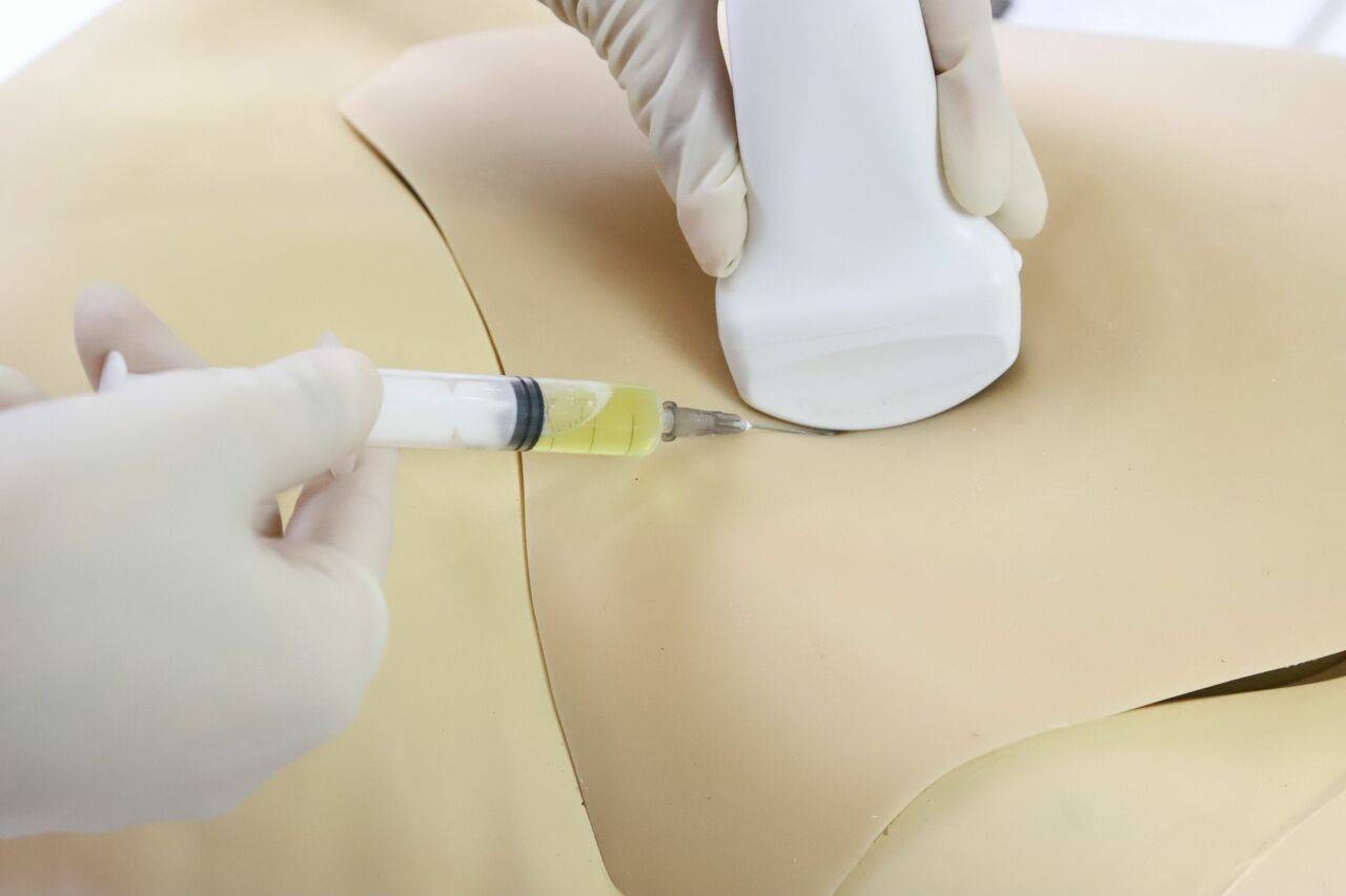 The Anatomy Lab-A-108515 Femoral Arteriovenous Puncture and Abdominocentesis Ultrasound Training Model, 1/ea