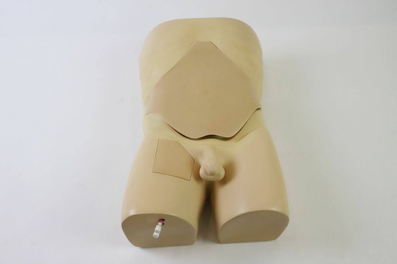 The Anatomy Lab-A-108515 Femoral Arteriovenous Puncture and Abdominocentesis Ultrasound Training Model, 1/ea