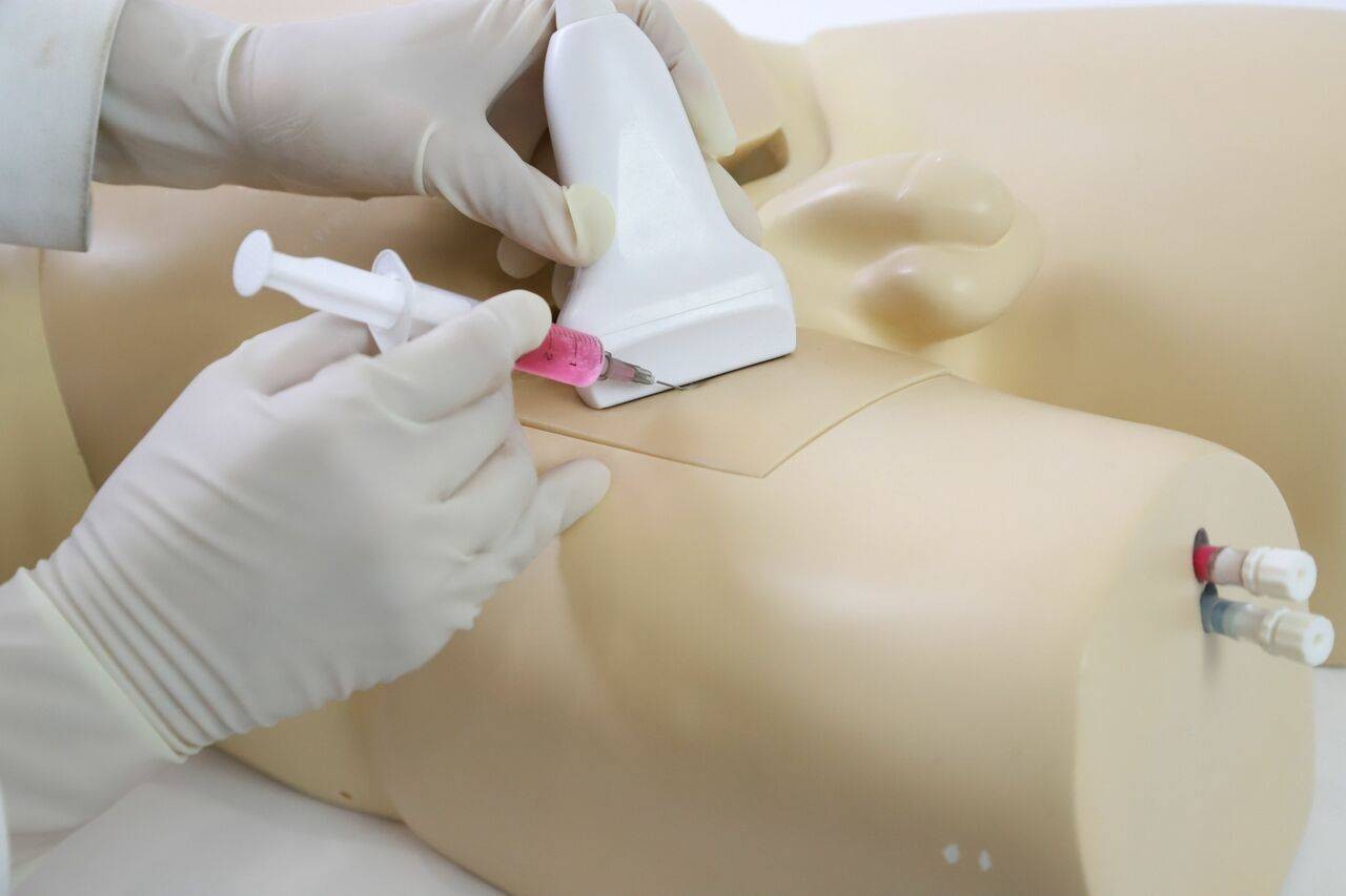 The Anatomy Lab-A-108515 Femoral Arteriovenous Puncture and Abdominocentesis Ultrasound Training Model, 1/ea