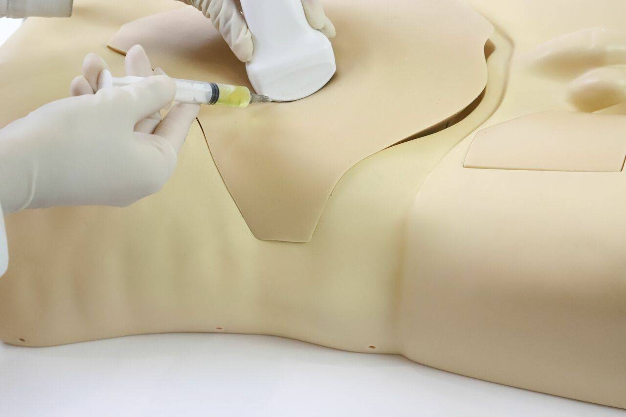 The Anatomy Lab-A-108515 Femoral Arteriovenous Puncture and Abdominocentesis Ultrasound Training Model, 1/ea