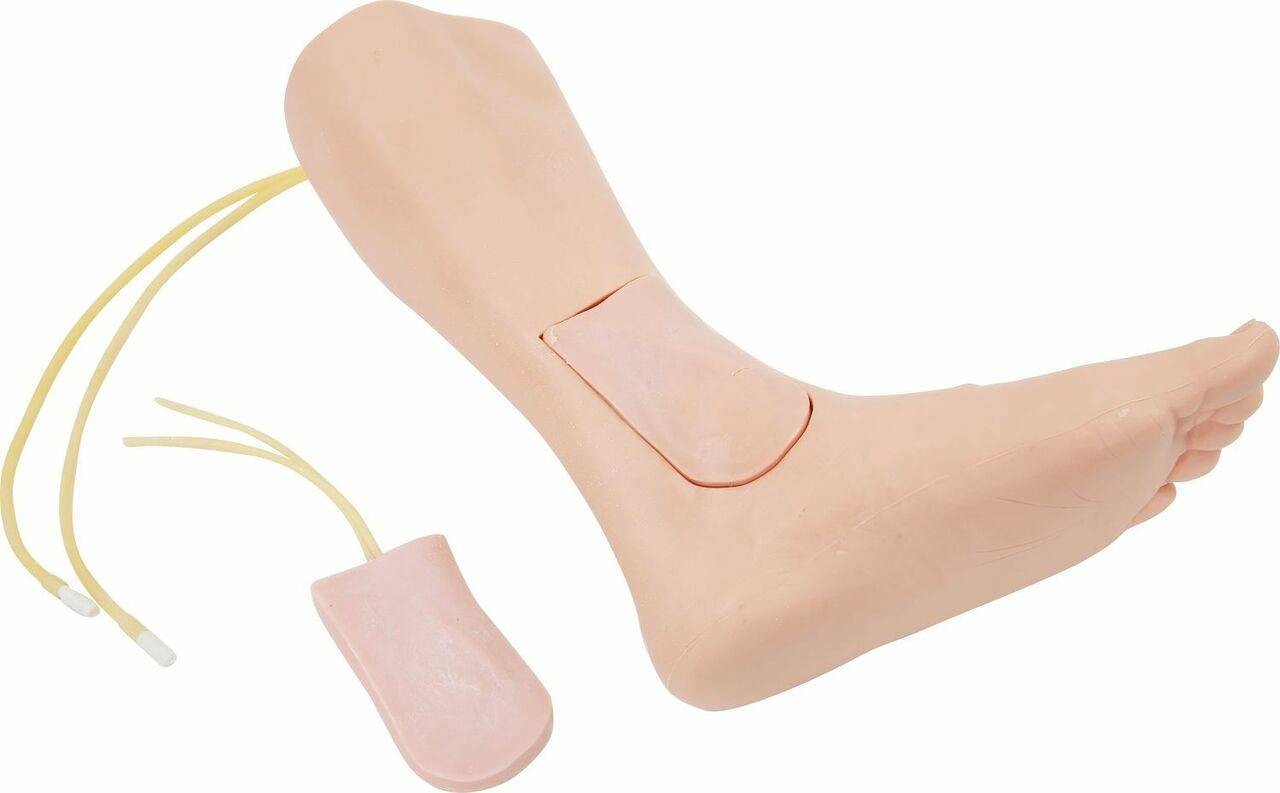 The Anatomy Lab-A-106782 Great Saphenous Vein Catheterization Trainer, 1/ea
