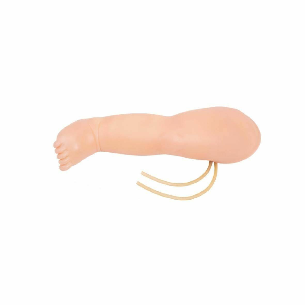 The Anatomy Lab-A-106763 Infant Venipuncture Leg Model