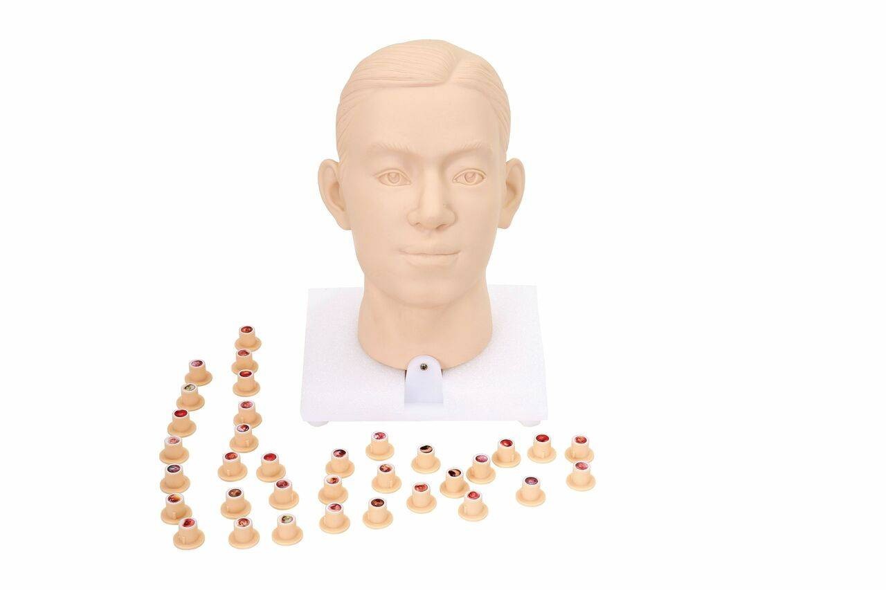 The Anatomy Lab-A-106796 Intra-aural Examination Trainer (Binaural)