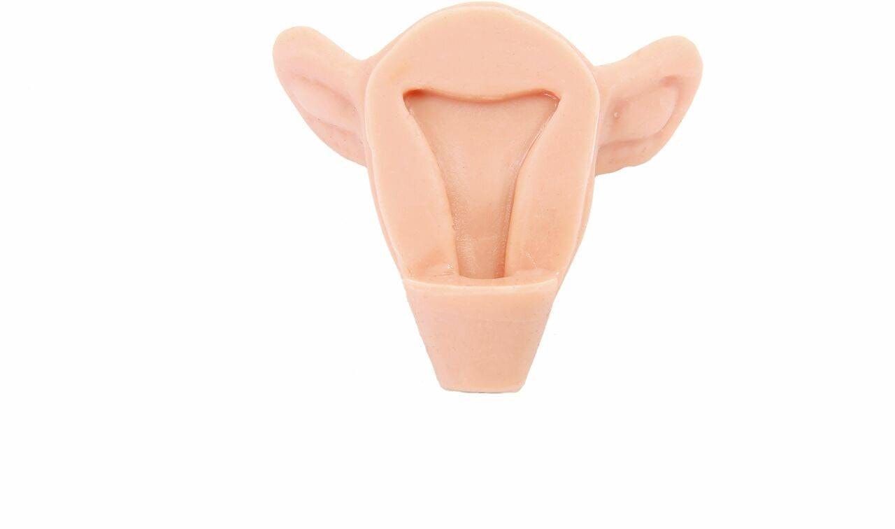 The Anatomy Lab-A-104454 IUD Insertion Model III