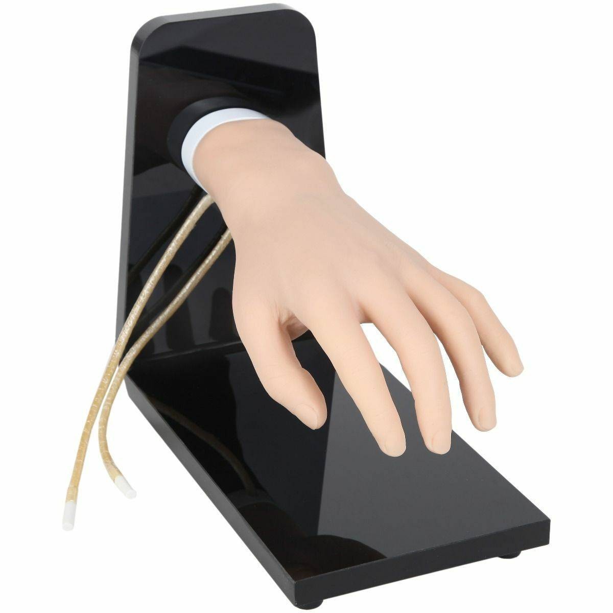 The Anatomy Lab-A-104455 IV Injection Training Hand