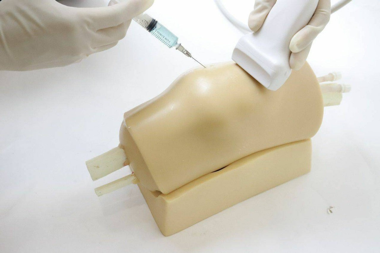 The Anatomy Lab-A-108522 Knee Arthrocentesis Ultrasound Training Model, 1/ea