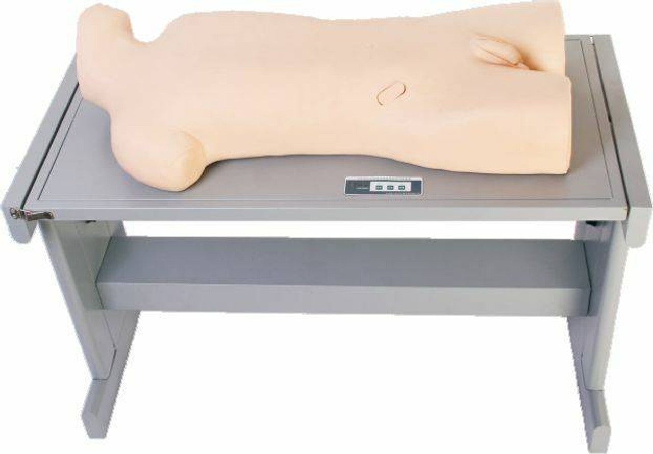 The Anatomy Lab-A-106794 Liver Abscess Puncture & Thoracentesis Training Simulator, 1/ea