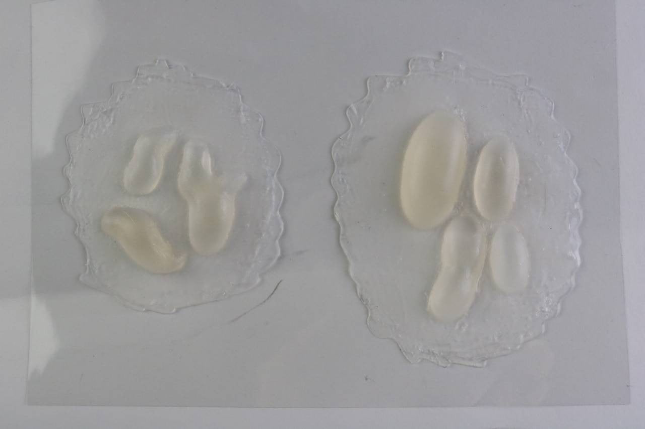 Anatomy Lab Moulage Models