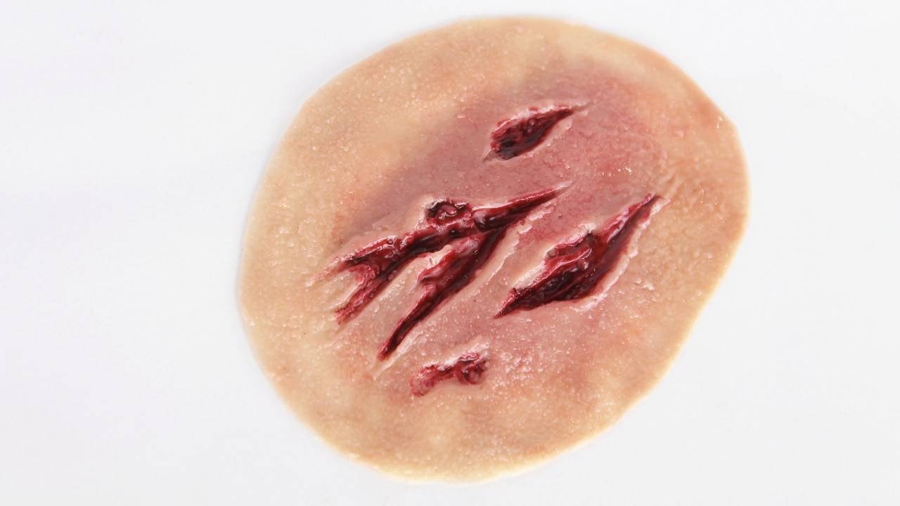 Anatomy Lab Moulage Models