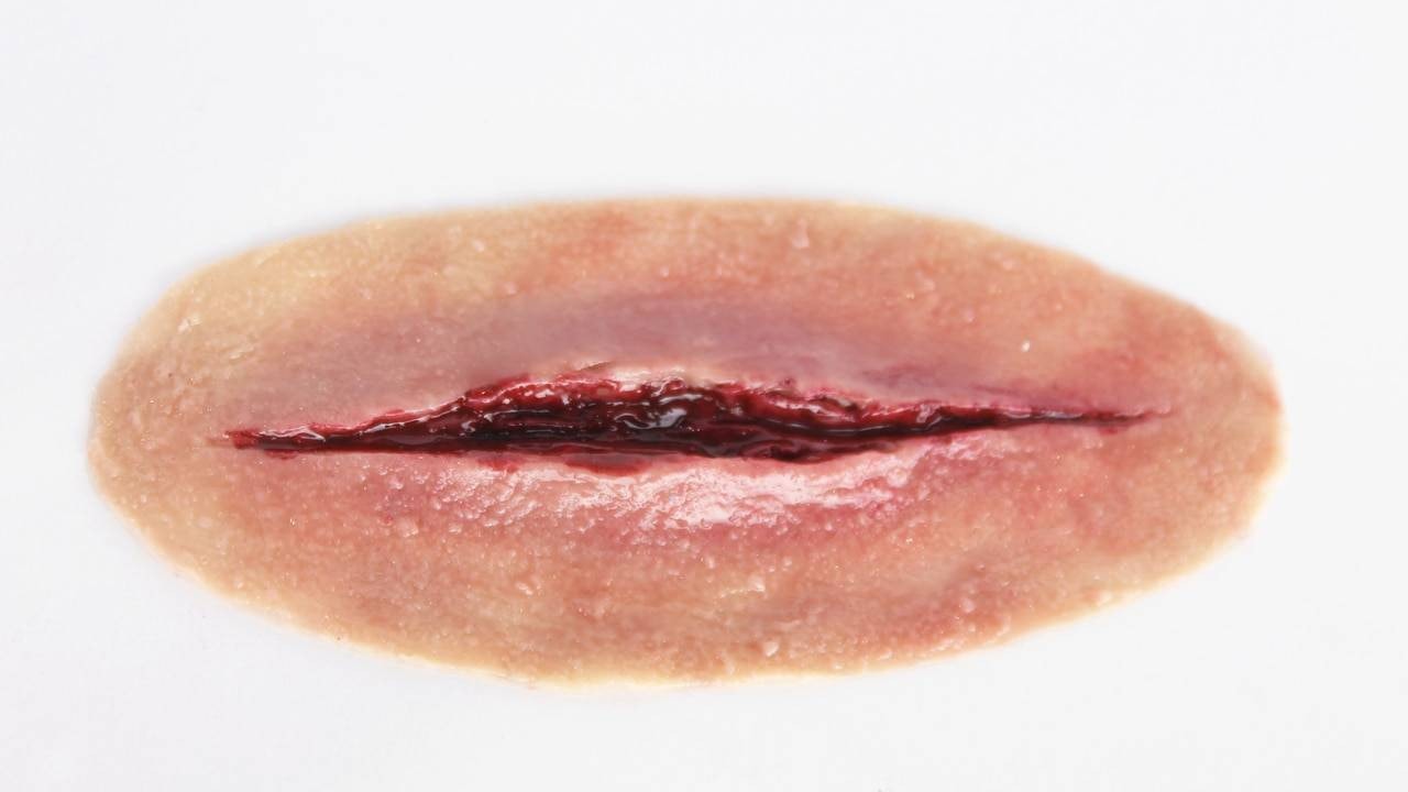 Anatomy Lab Moulage Models