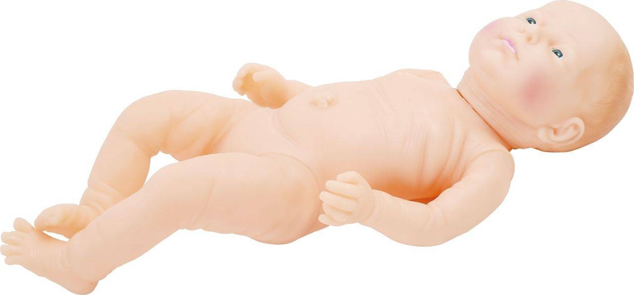 Anatomy Lab Neonate Care Manikin, 1/ea