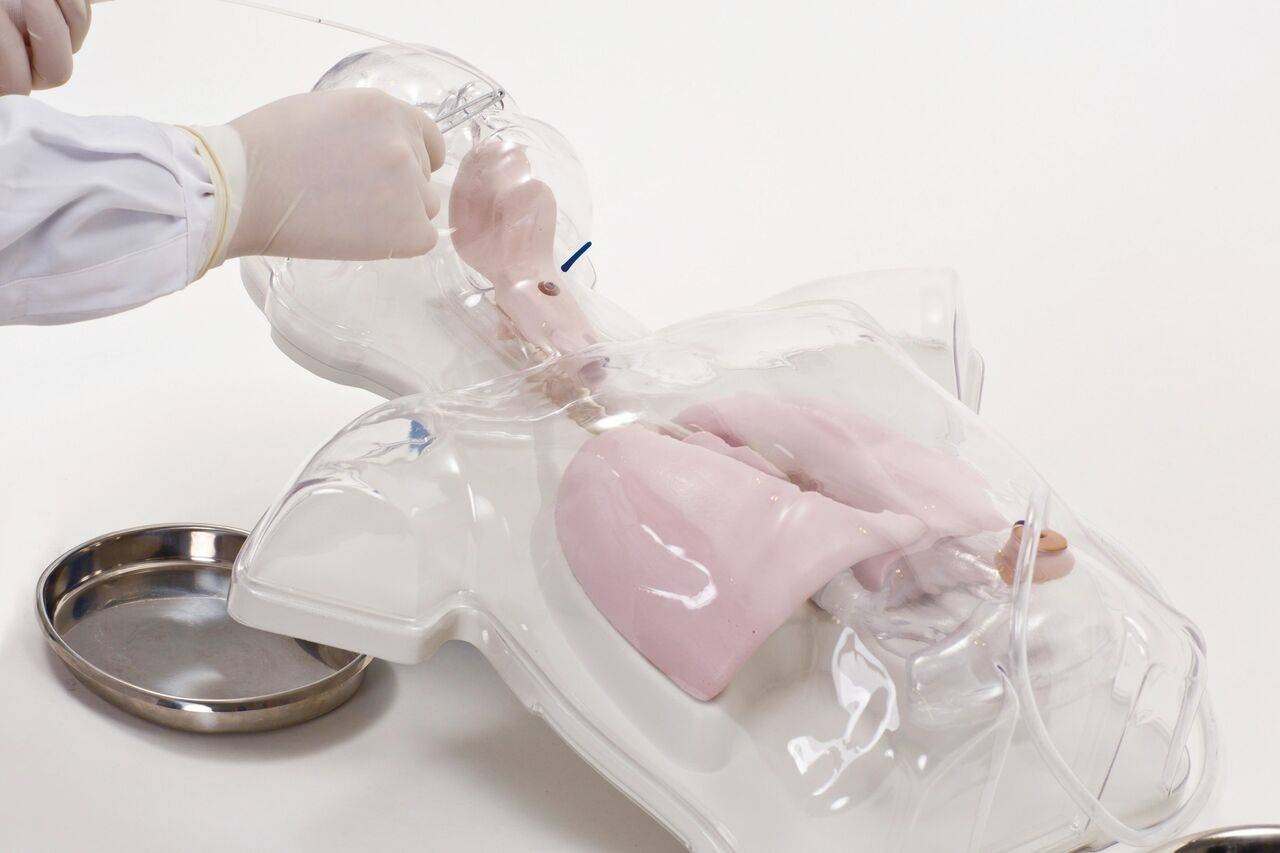 The Anatomy Lab-A-106752 Pediatric Transparent Nasal Feeding and Gastric Lavage Model, 1/ea