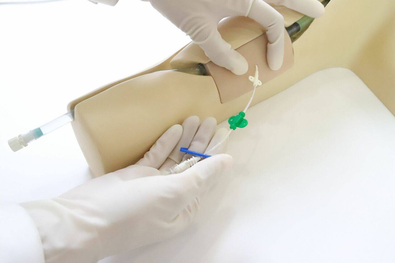 The Anatomy Lab-A-108520 PICC Ultrasound Training Model, 1/ea