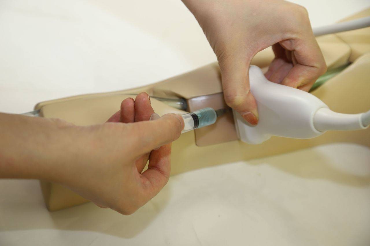 The Anatomy Lab-A-108520 PICC Ultrasound Training Model, 1/ea