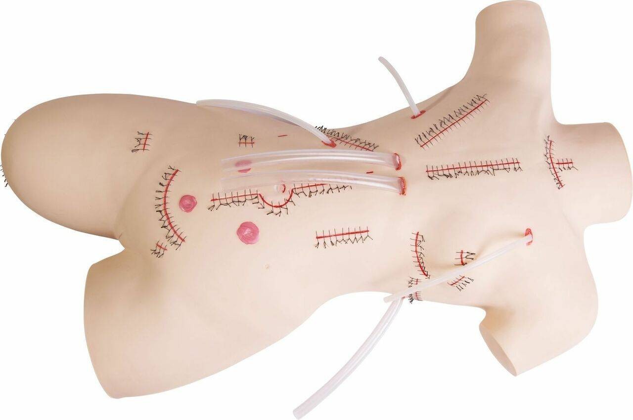 The Anatomy Lab-A-104472 Preoperatively Aseptic Training Model