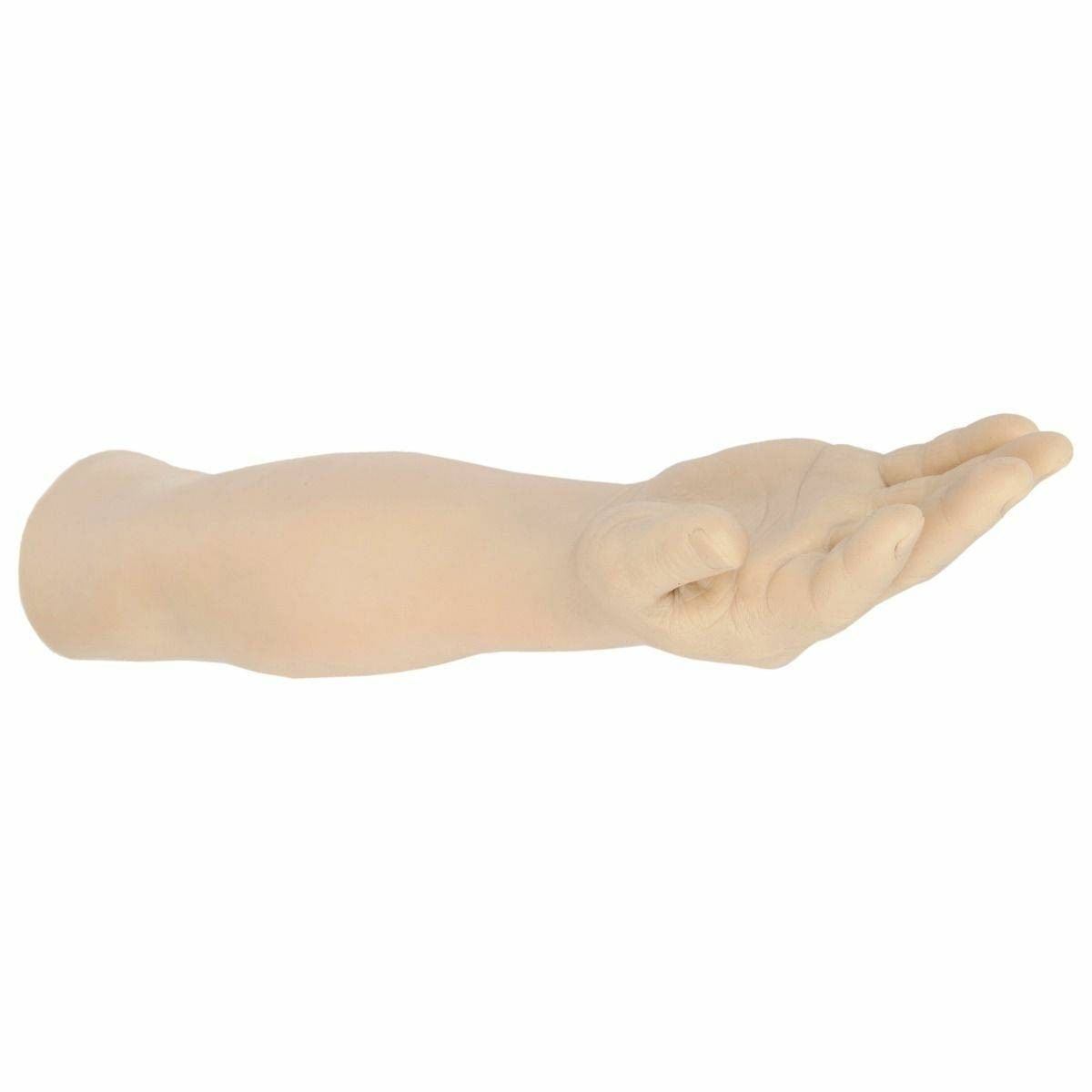 The Anatomy Lab-A-104470 Suture Practice Arm