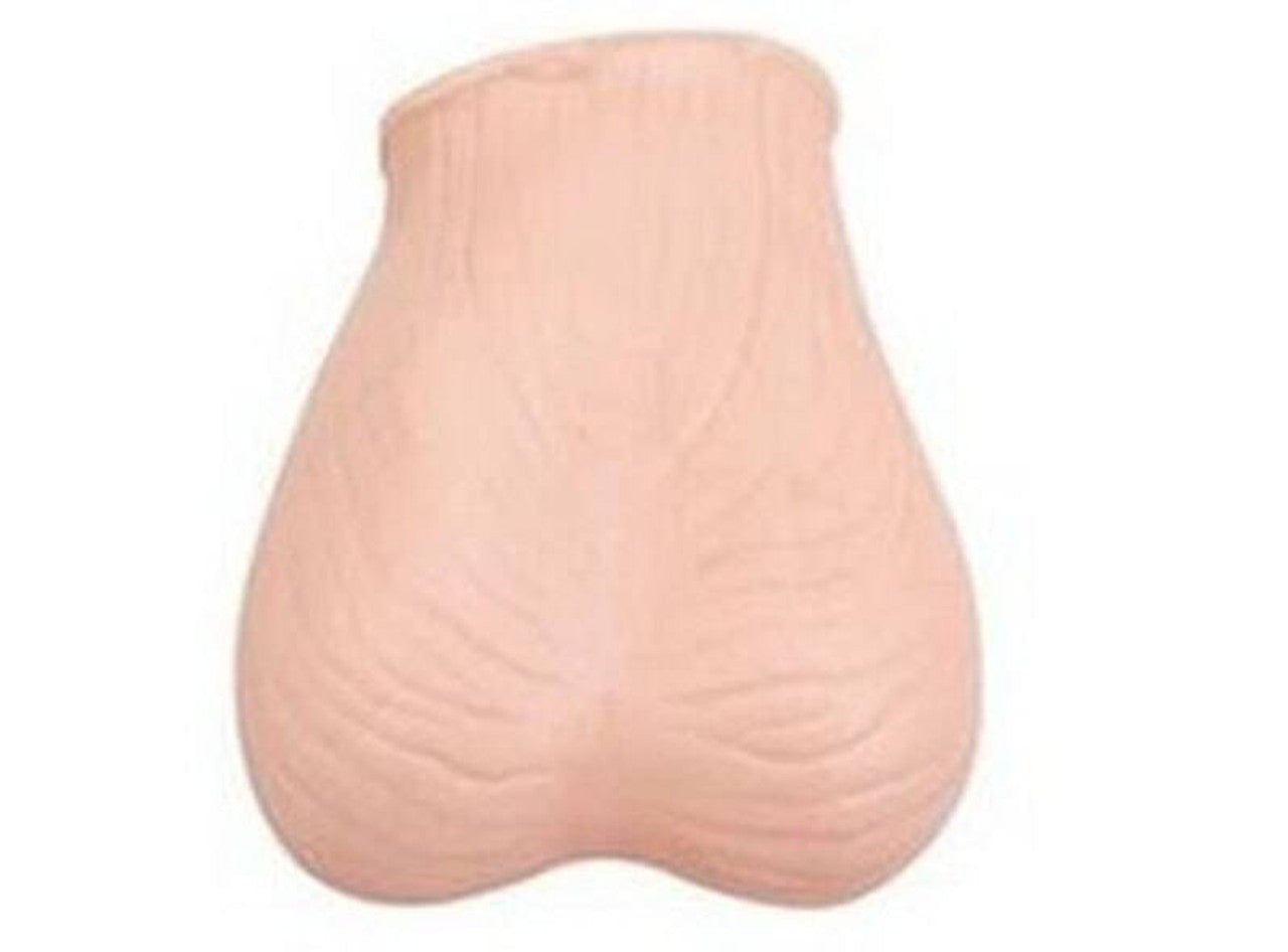 The Anatomy Lab-A-108504 Testis Diagnosis Model, 1/ea