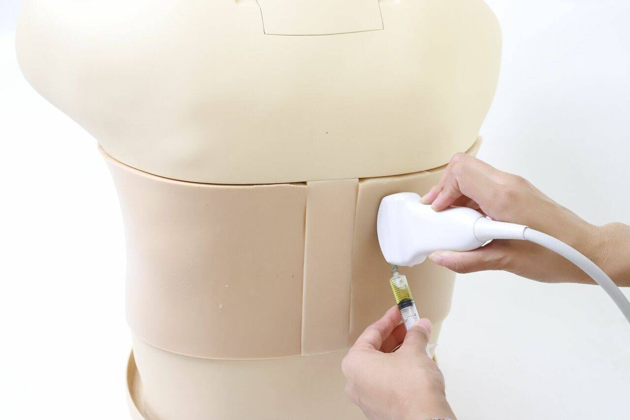 The Anatomy Lab-A-108518 Thoracentesis Ultrasound Training Model, 1/ea