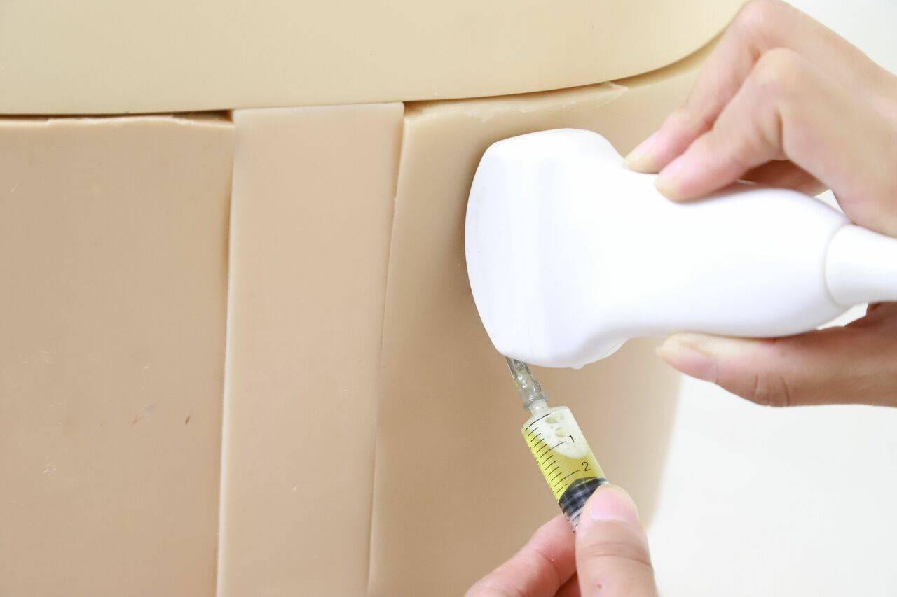 The Anatomy Lab-A-108518 Thoracentesis Ultrasound Training Model, 1/ea