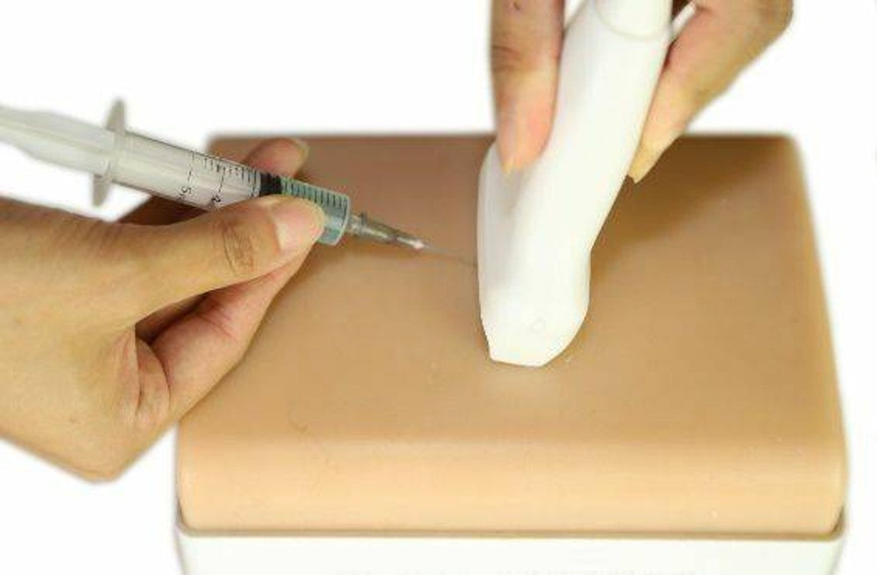 The Anatomy Lab-A-108516 Vascular Access Ultrasound Training Model, 1/ea