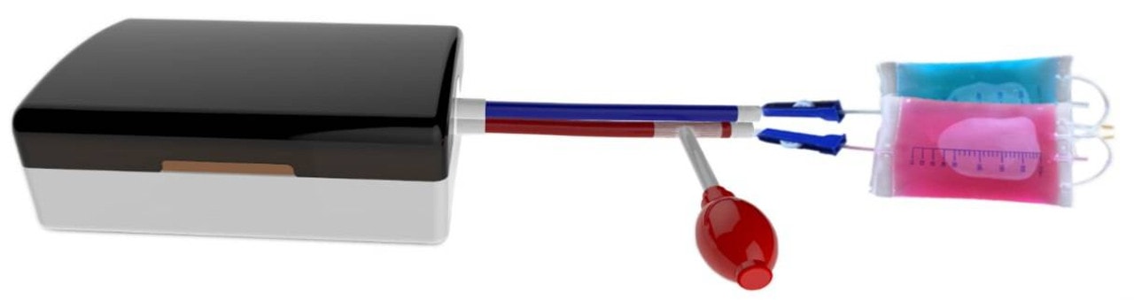 The Anatomy Lab-A-108516 Vascular Access Ultrasound Training Model, 1/ea