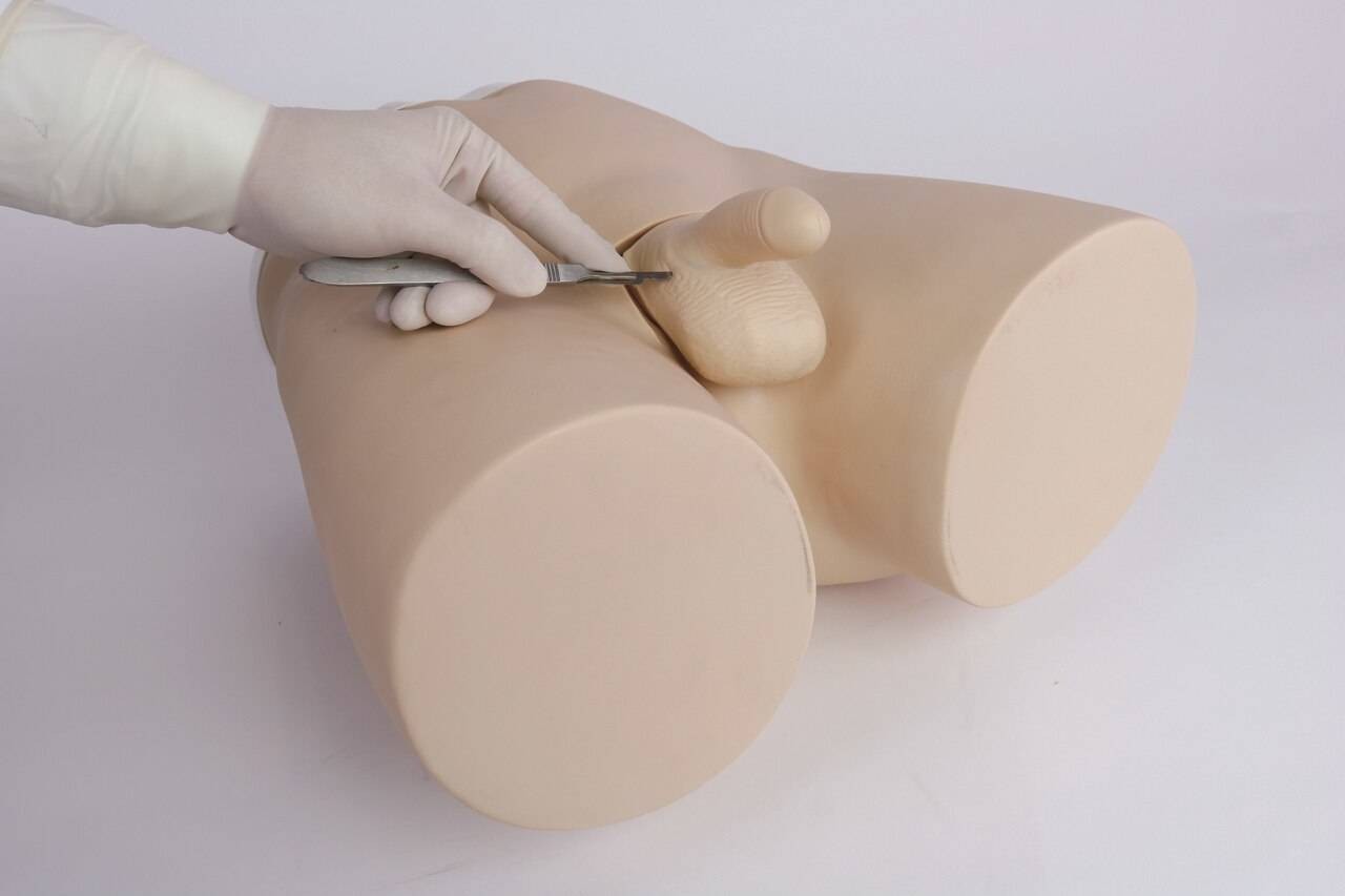 The Anatomy Lab-A-106810 Vasoligation Trainer, 1/ea