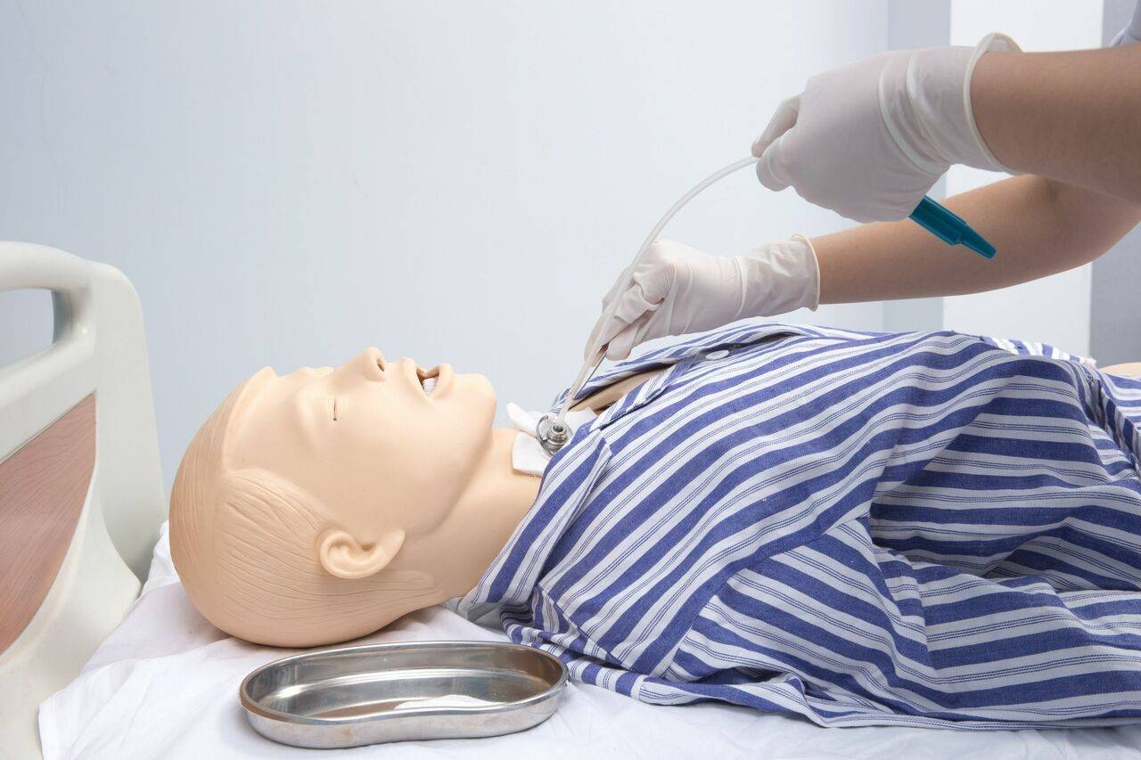 The Anatomy Lab-A-104476 Venus Nursing Skills Manikin