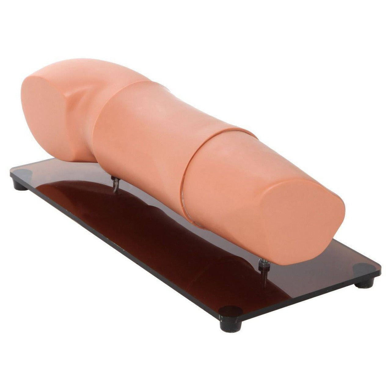 The Anatomy Lab-A-106108 Subcutaneous Embedded Contraception Arm, 1/ea