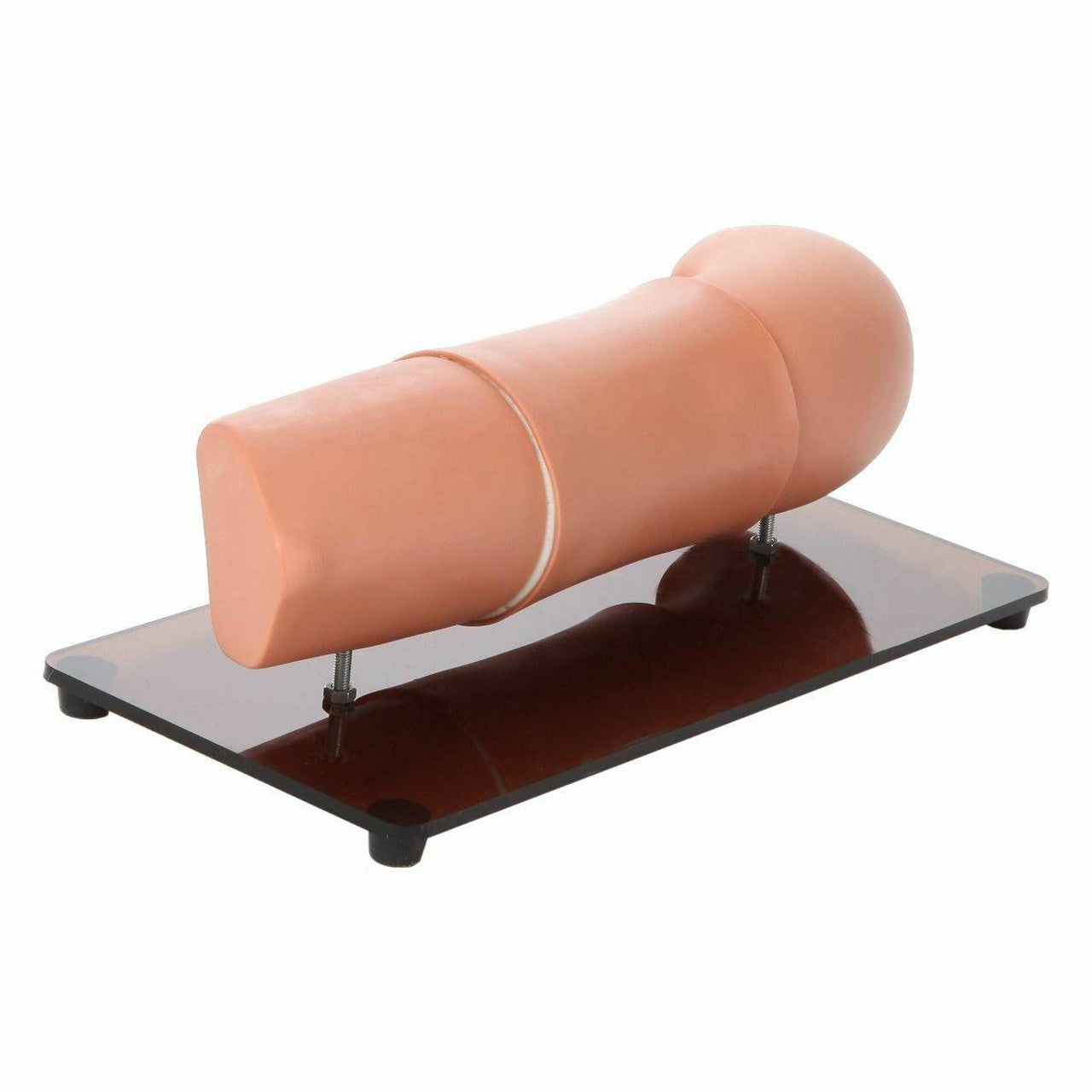 The Anatomy Lab-A-106108 Subcutaneous Embedded Contraception Arm, 1/ea