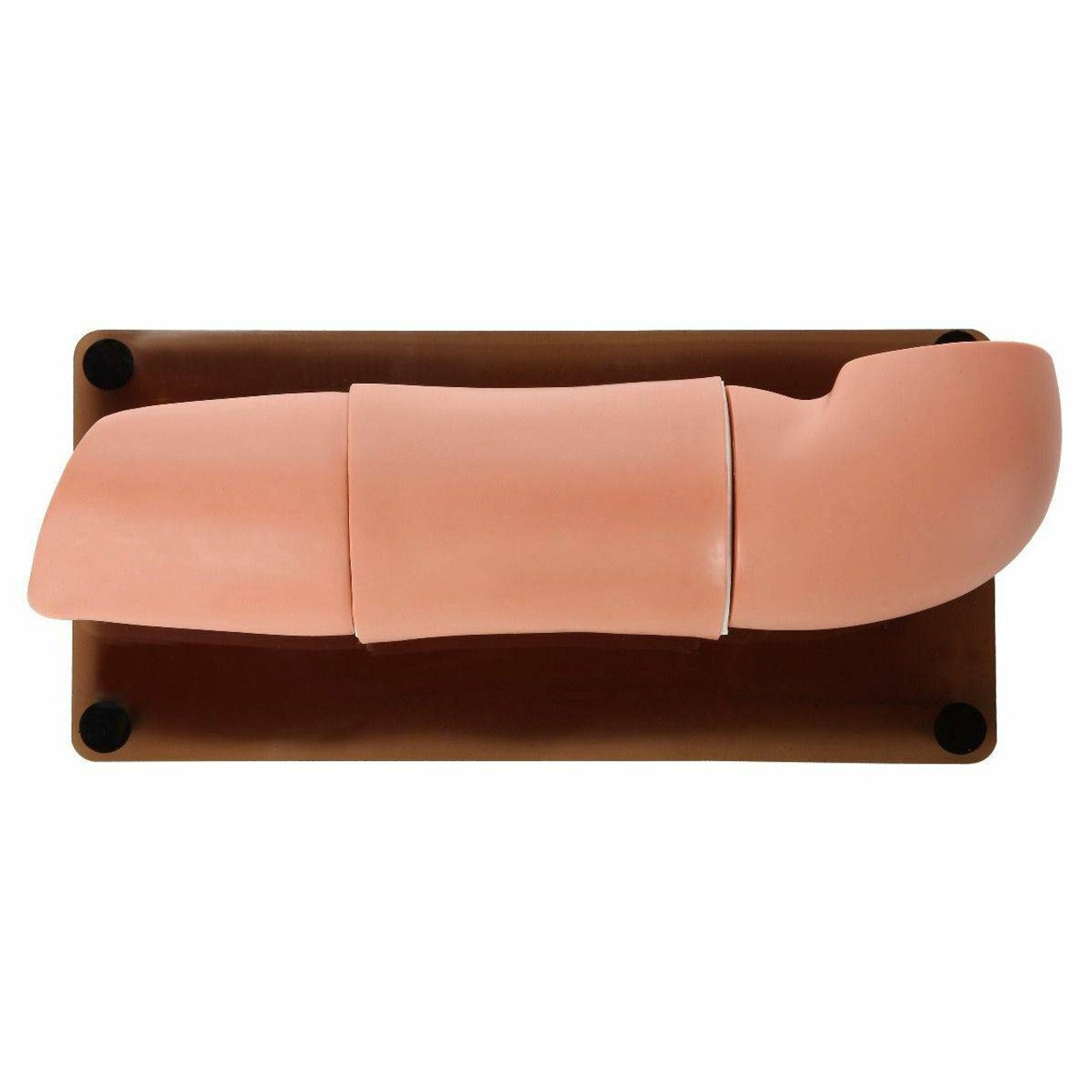 The Anatomy Lab-A-106108 Subcutaneous Embedded Contraception Arm, 1/ea