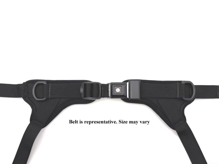 Therafin-60458 - Belt, 1" 4-Point Y-Style, Dual Center Pull, PB Security Buckle, Small, Ea