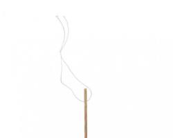 MedGyn Laminaria