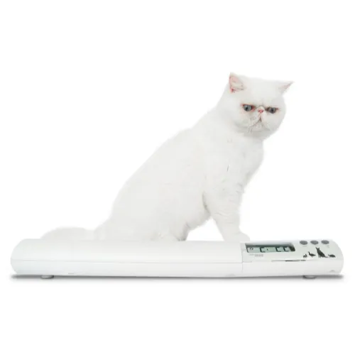 Detecto-VET75 Pet Scale for Small Animals 1/EA