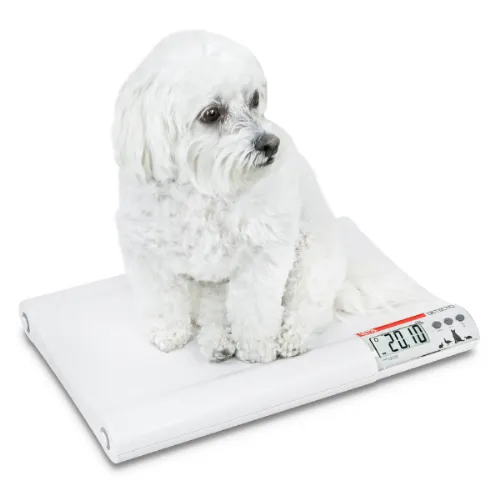 Detecto-VET75 Pet Scale for Small Animals 1/EA