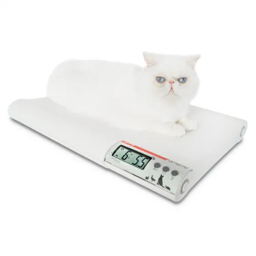 Detecto-VET75 Pet Scale for Small Animals 1/EA