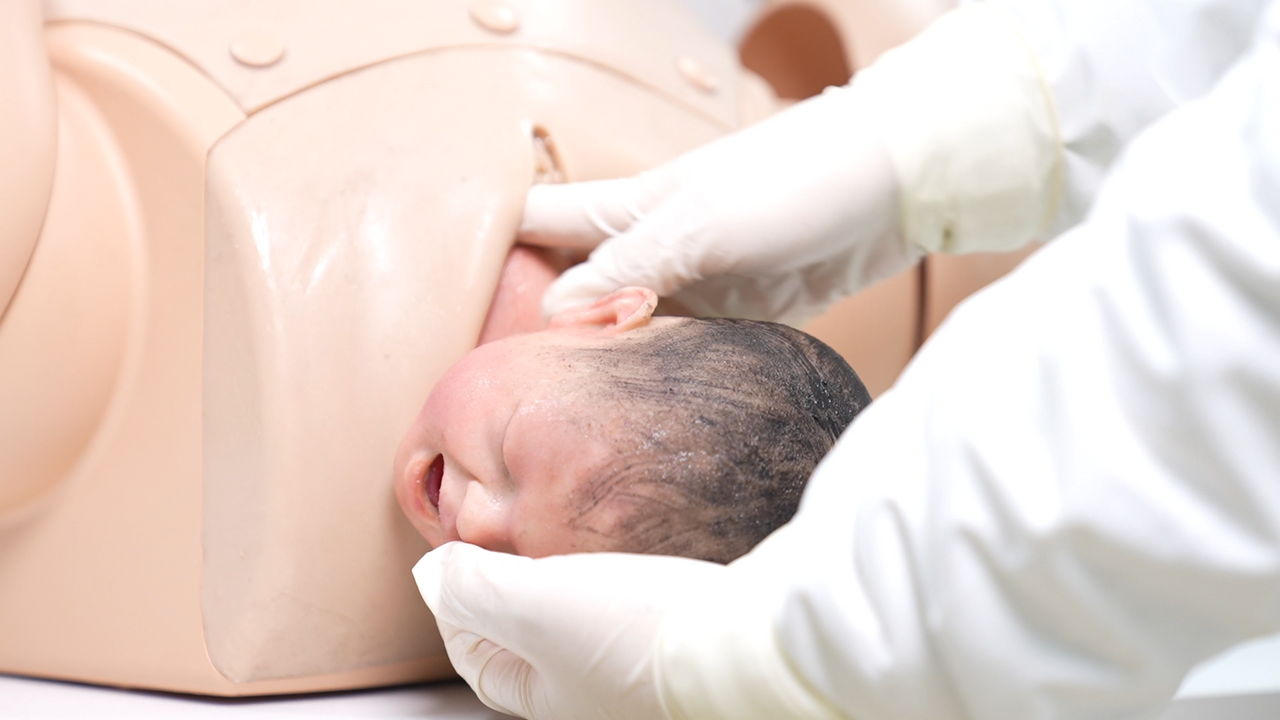 The Anatomy Lab-A-113028 Complete Childbirth Simulator, 1/ea