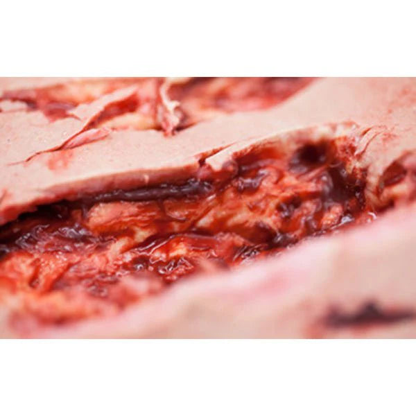 Safeguard Medical Nursing & Wound Care Simulation Sleeve Kit