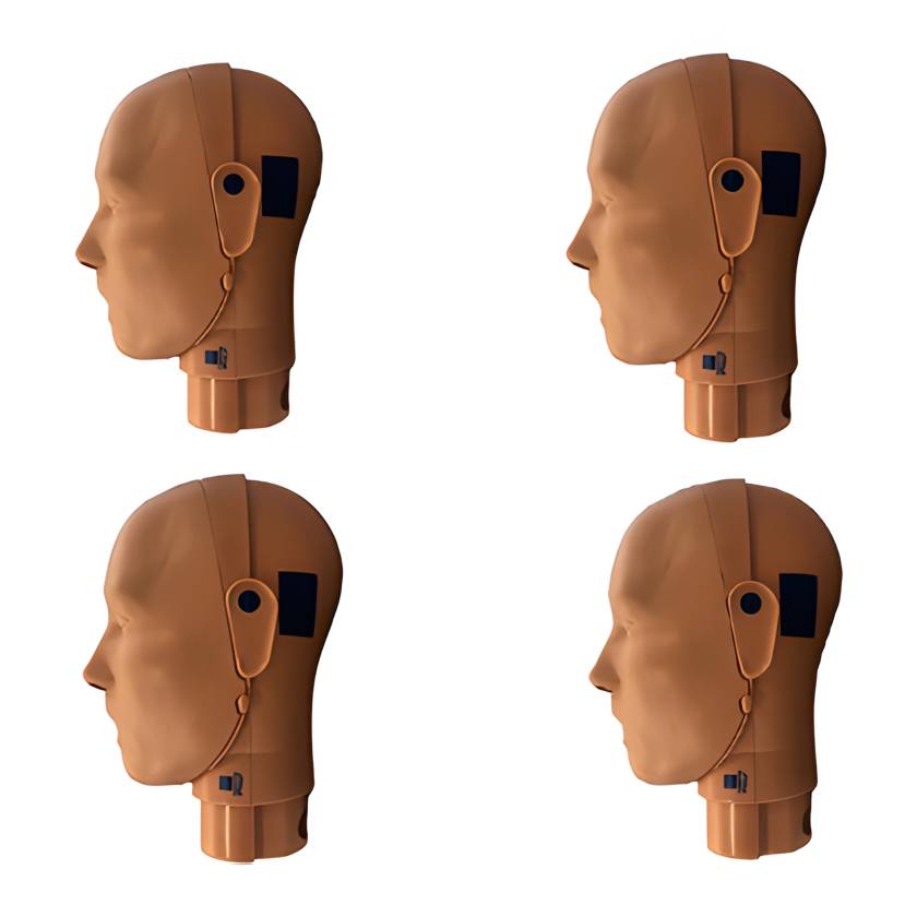 PRESTAN PRO+ Adult Head