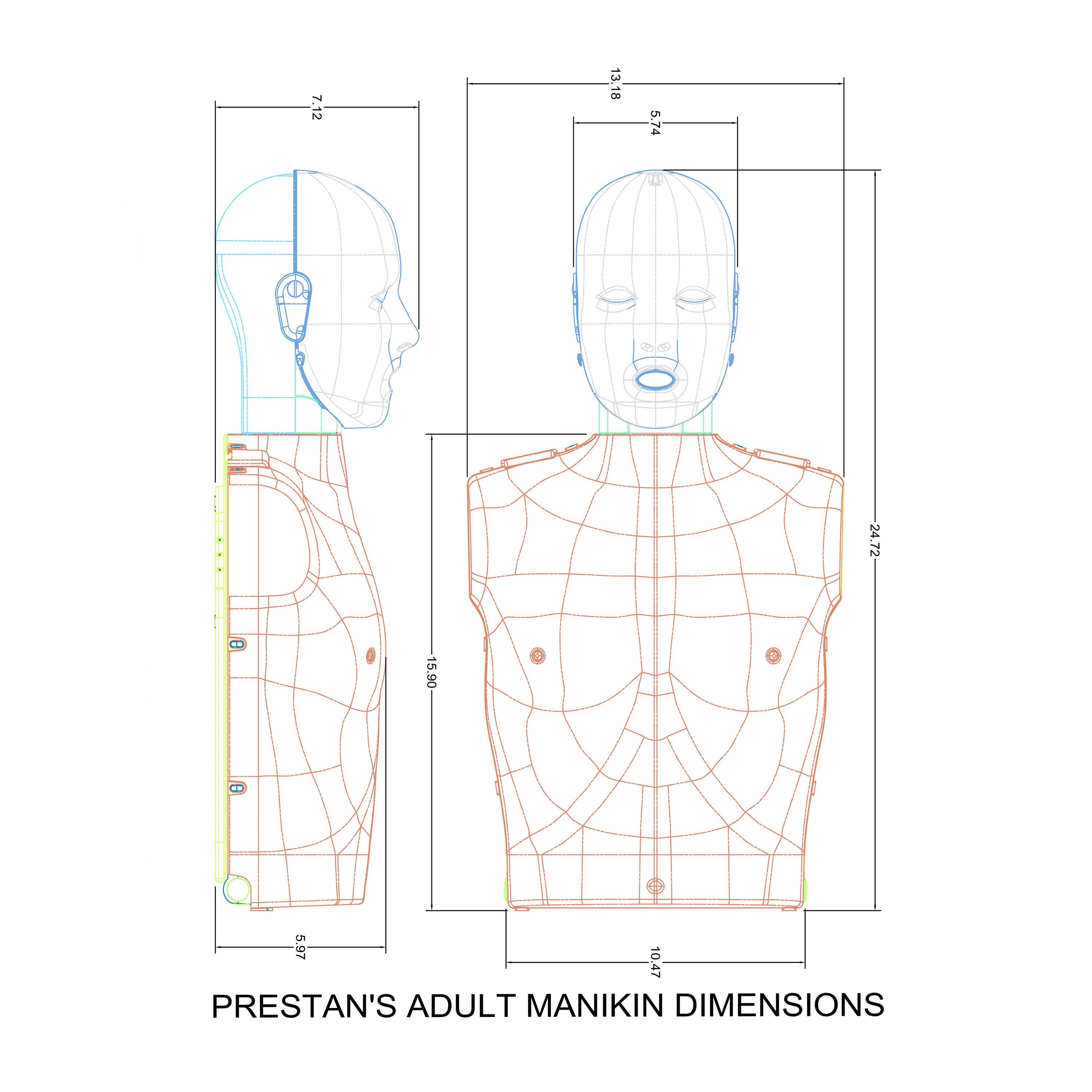 PRESTAN-PP-FMP-300M-DE-MS PRO+ Collection Manikin with Large PRO+ Face-Shield, 3-Pack - Medium Skin Tone (Pack of 3)