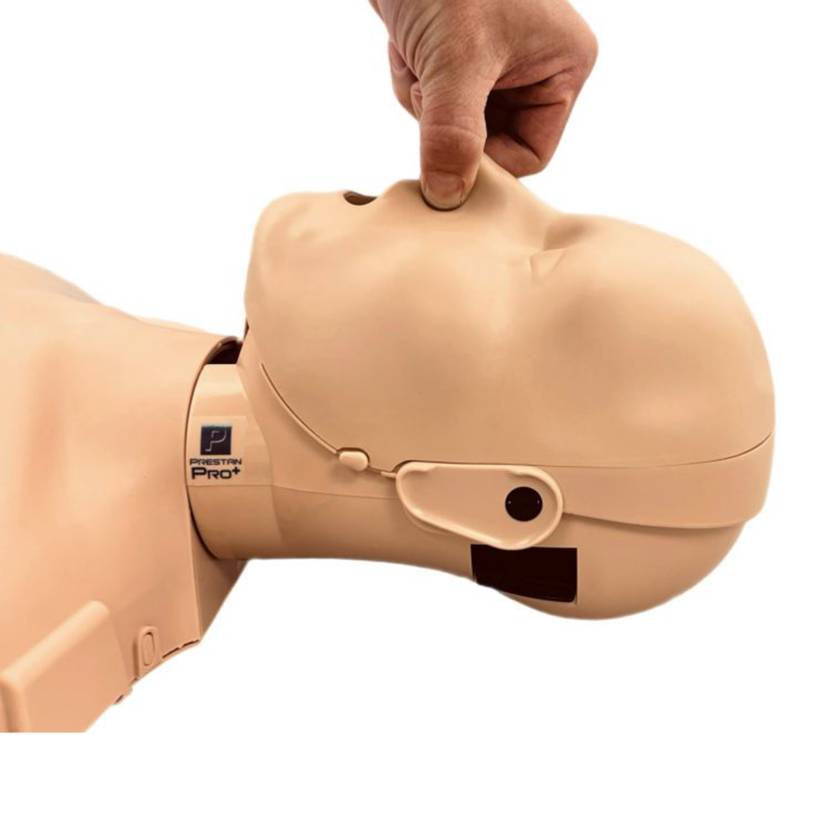 PRESTAN PRO+ Adult Head, Single Unit