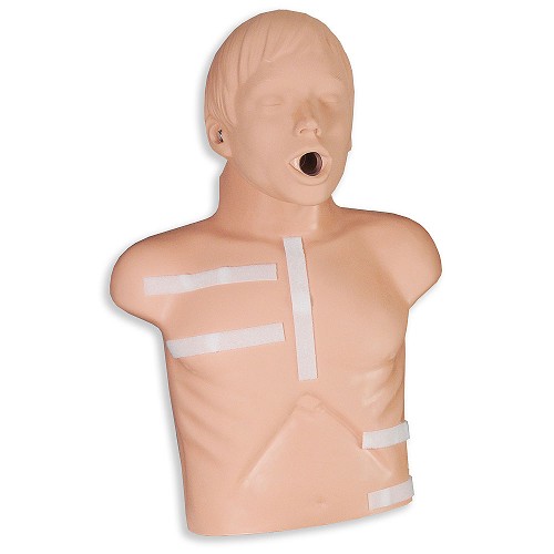 ZOLL-8000-0835-01 AED Plus® Demo Manikin. Includes manikin torso with velcro strips attached and a separate head with hardware for attachment"